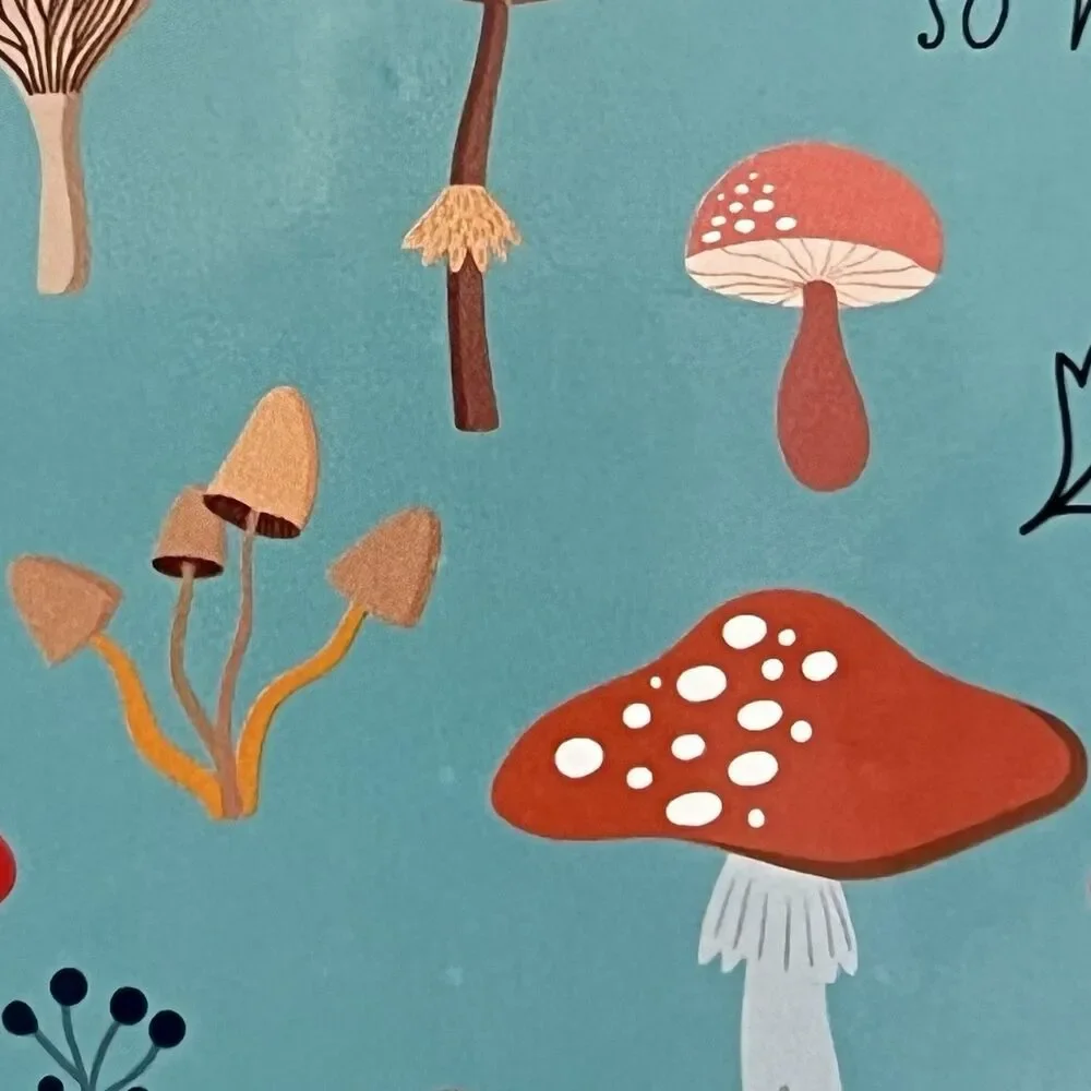 Hallmark Expressions MUSHROOMS Thank You Blank Note Cards & Envelopes Set of 12
